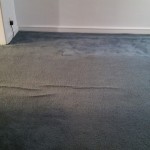 carpet cl 2